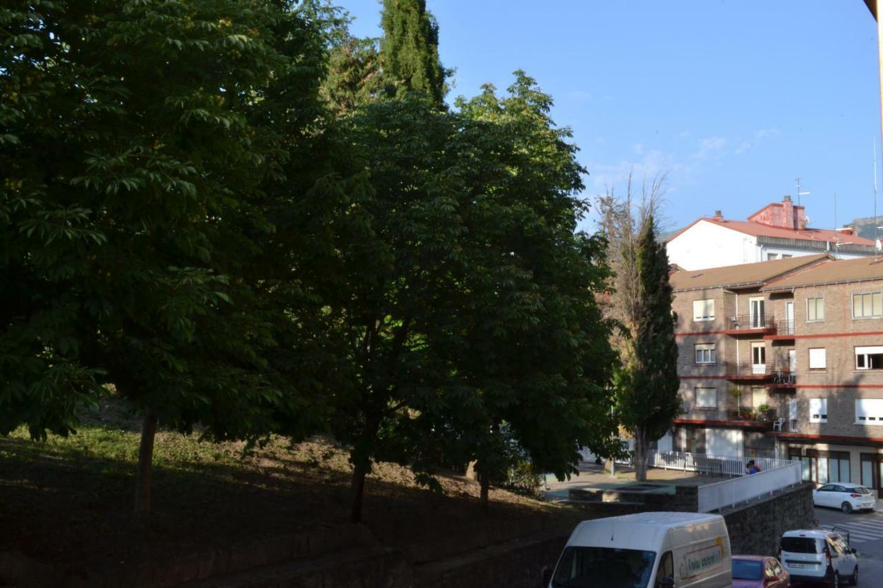 Apartamento Puerta Del Pirineo Sabiñánigo エクステリア 写真