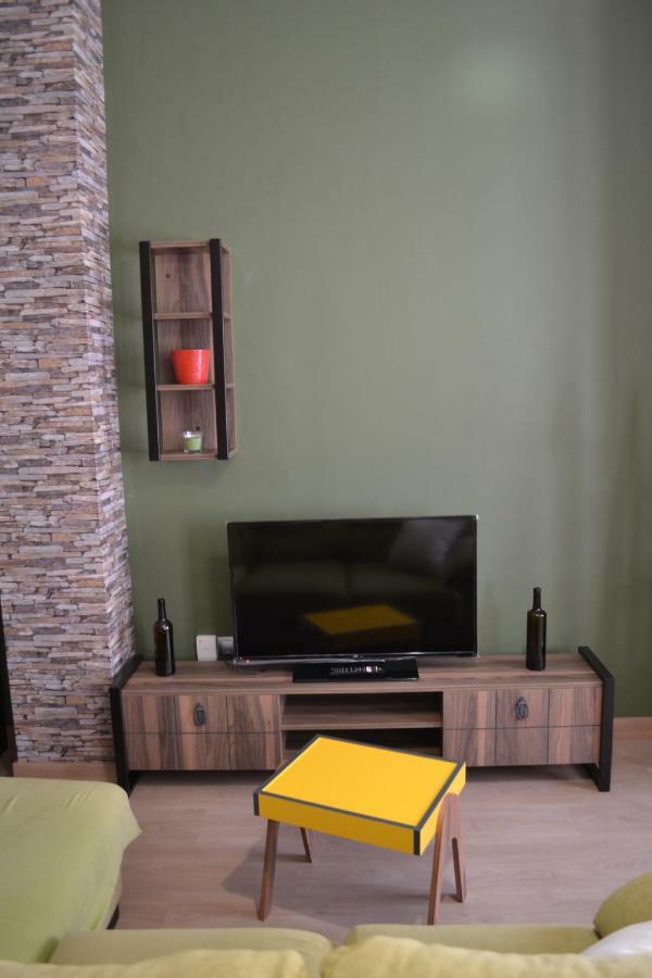 Apartamento Puerta Del Pirineo Sabiñánigo エクステリア 写真
